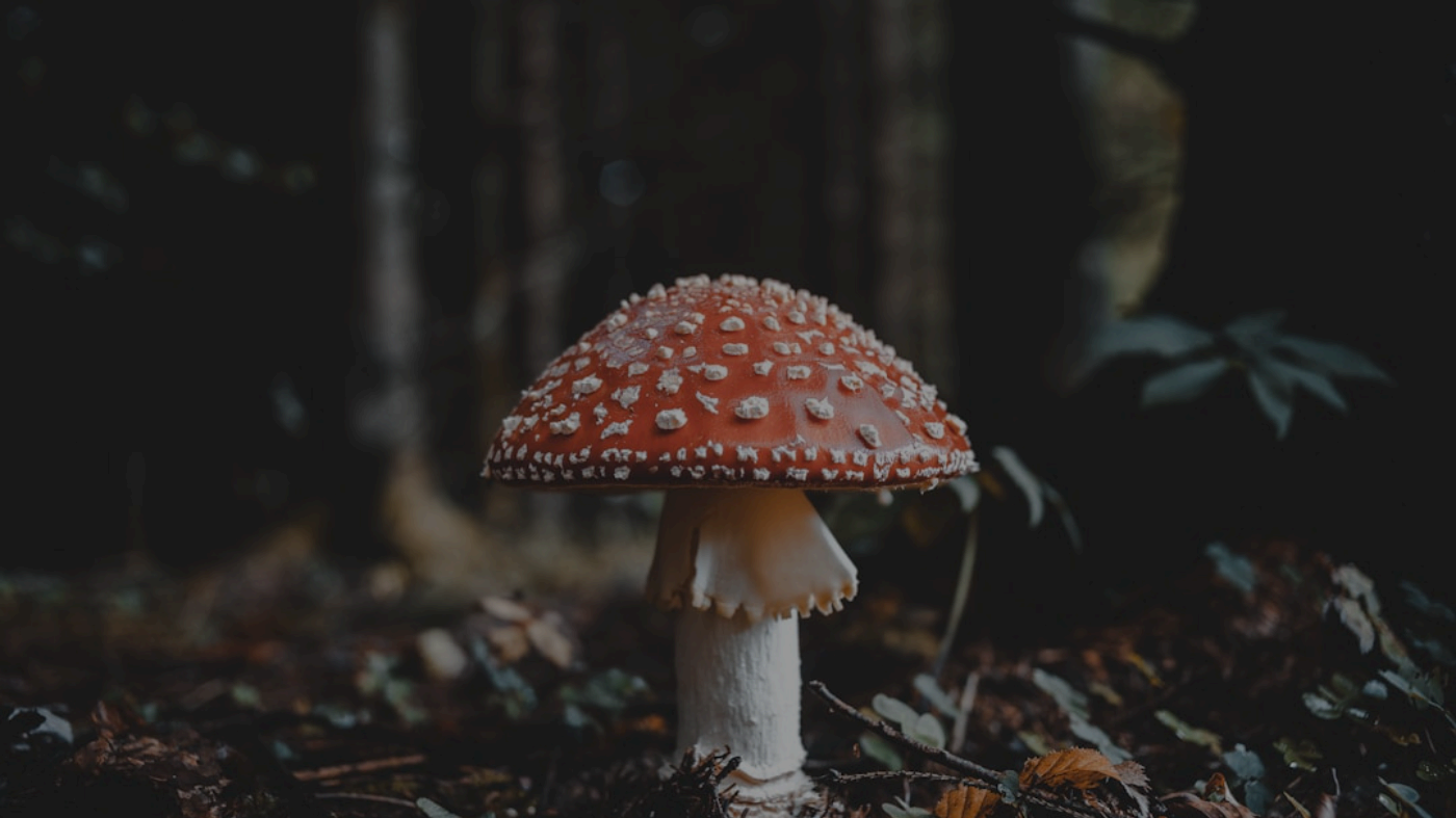Understanding Invisible Characters in AI Text Understanding Invisible Characters in AI Text